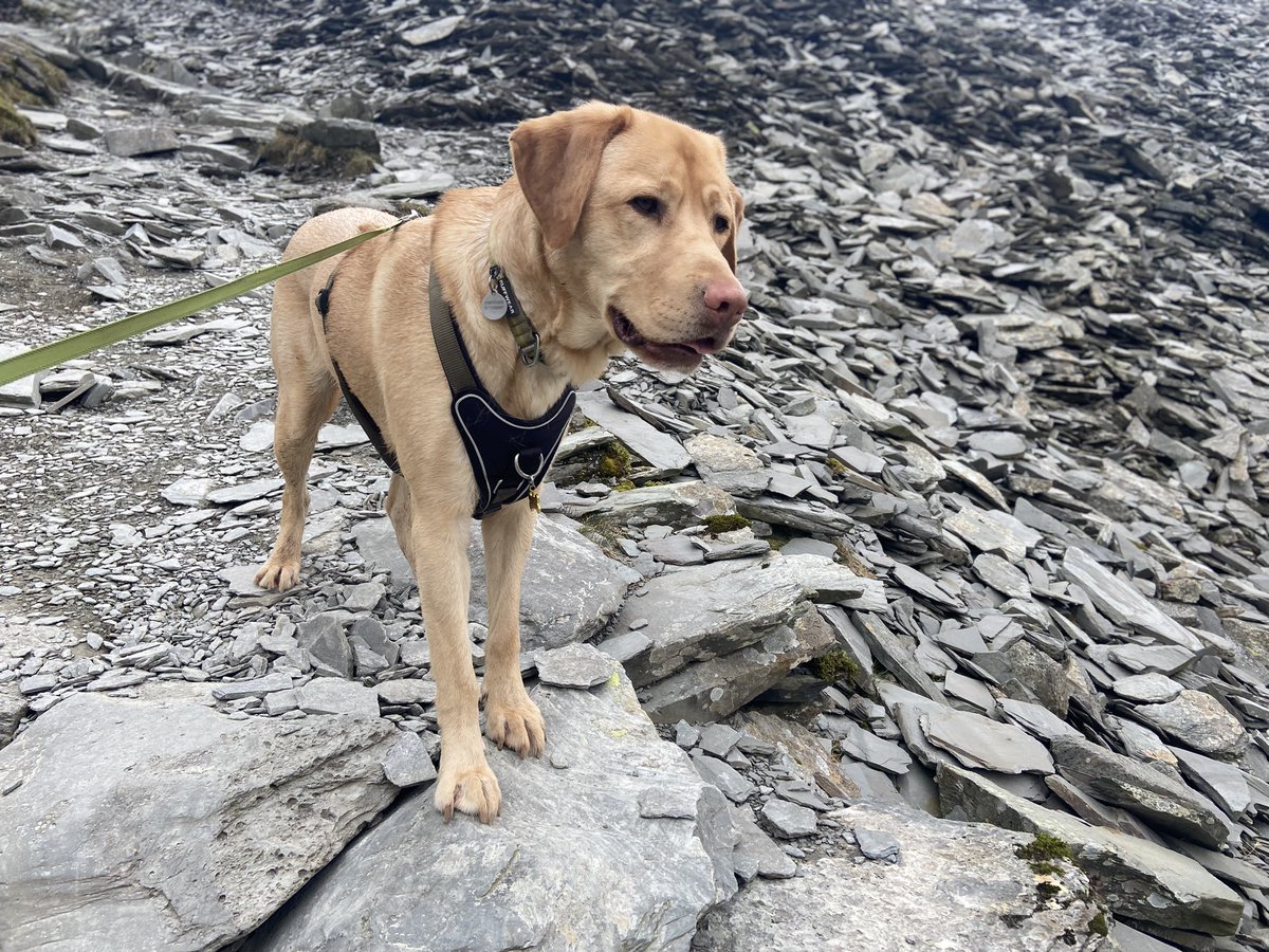 Chris Rigby tweet media