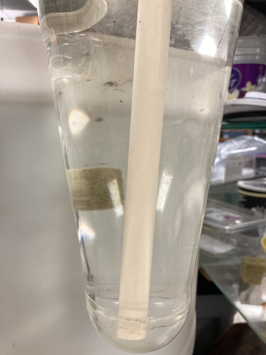 STM Env Science tweet media