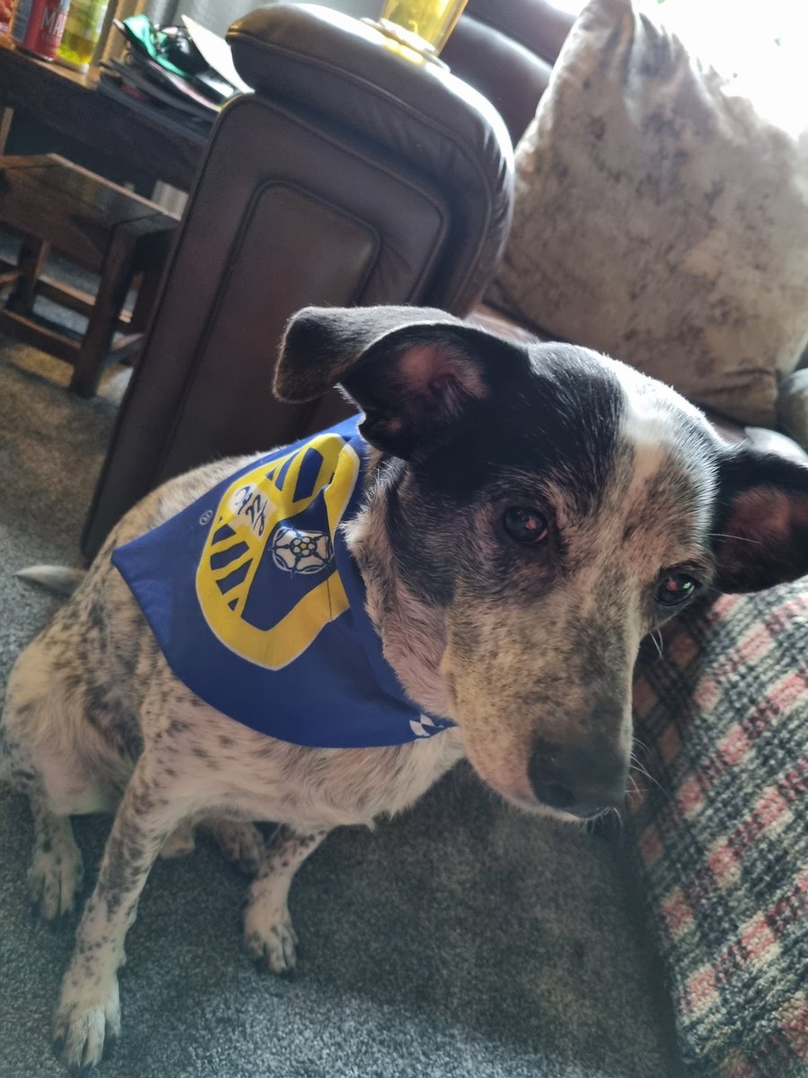 Capi66Angela's tweet image. ALAW