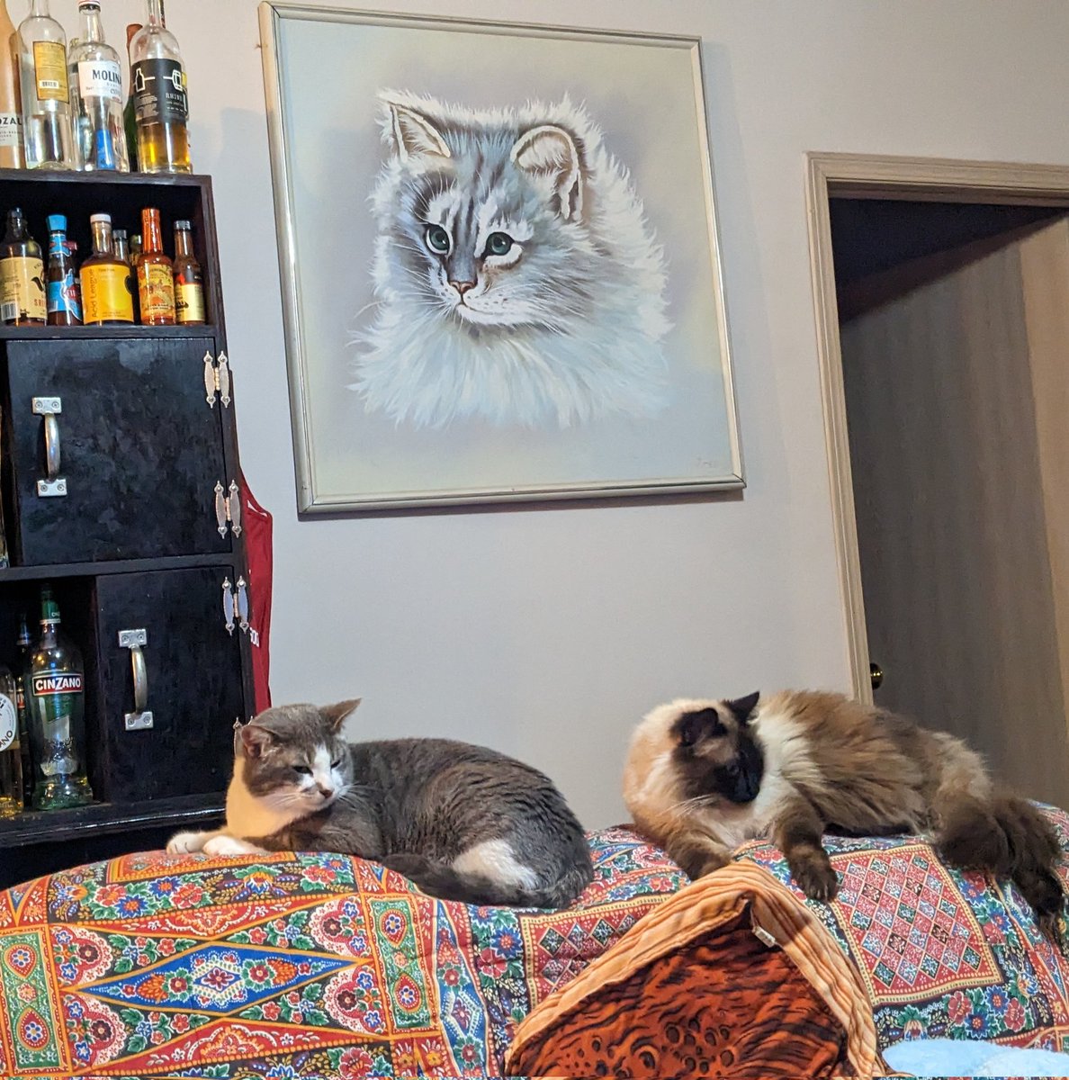 Injunskeptic's tweet photo. @eileen_steele @TreasuryMog I too have a grey and white cat named Raff. He's so cute! His brother Mr. Brown is very pretty and knows it but my little grey and white boy is so cuddly. They look a lot alike so he's beautiful to me! https://t.co/H9U84FrZYm