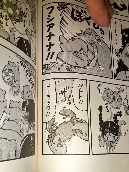 マコちゃん絵日記8巻、ハンハンベア語の「ドーラック」ってどういう意味なんだろ 