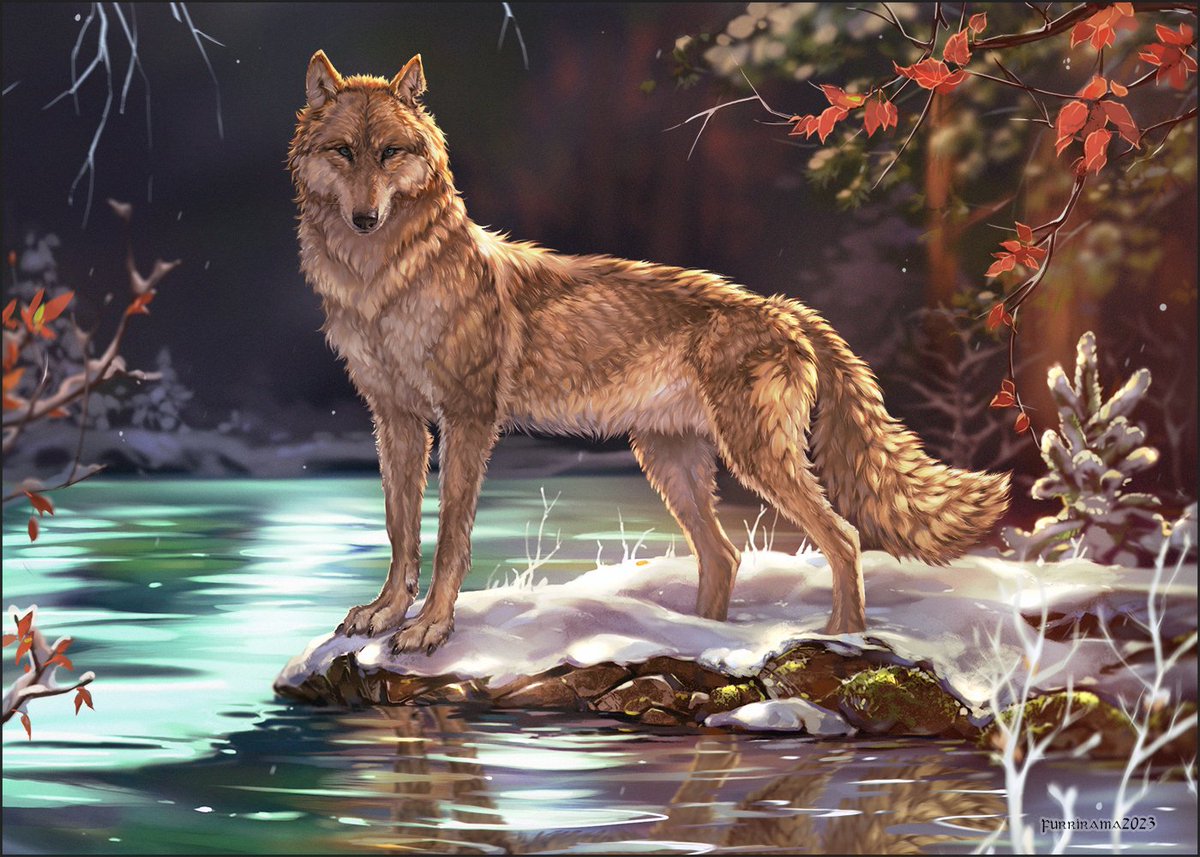furrirama's tweet photo. Commission Huntress
This is the commission of OC I did for Shakira. This wolf is a Pack huntress.
https://t.co/MxOewmrSKN
OPEN for COMMISSIONS! mail me furrirama@gmail.com if you are interested.
#wolf #wolfportrait #commission #charactercommission https://t.co/265V7loBIz