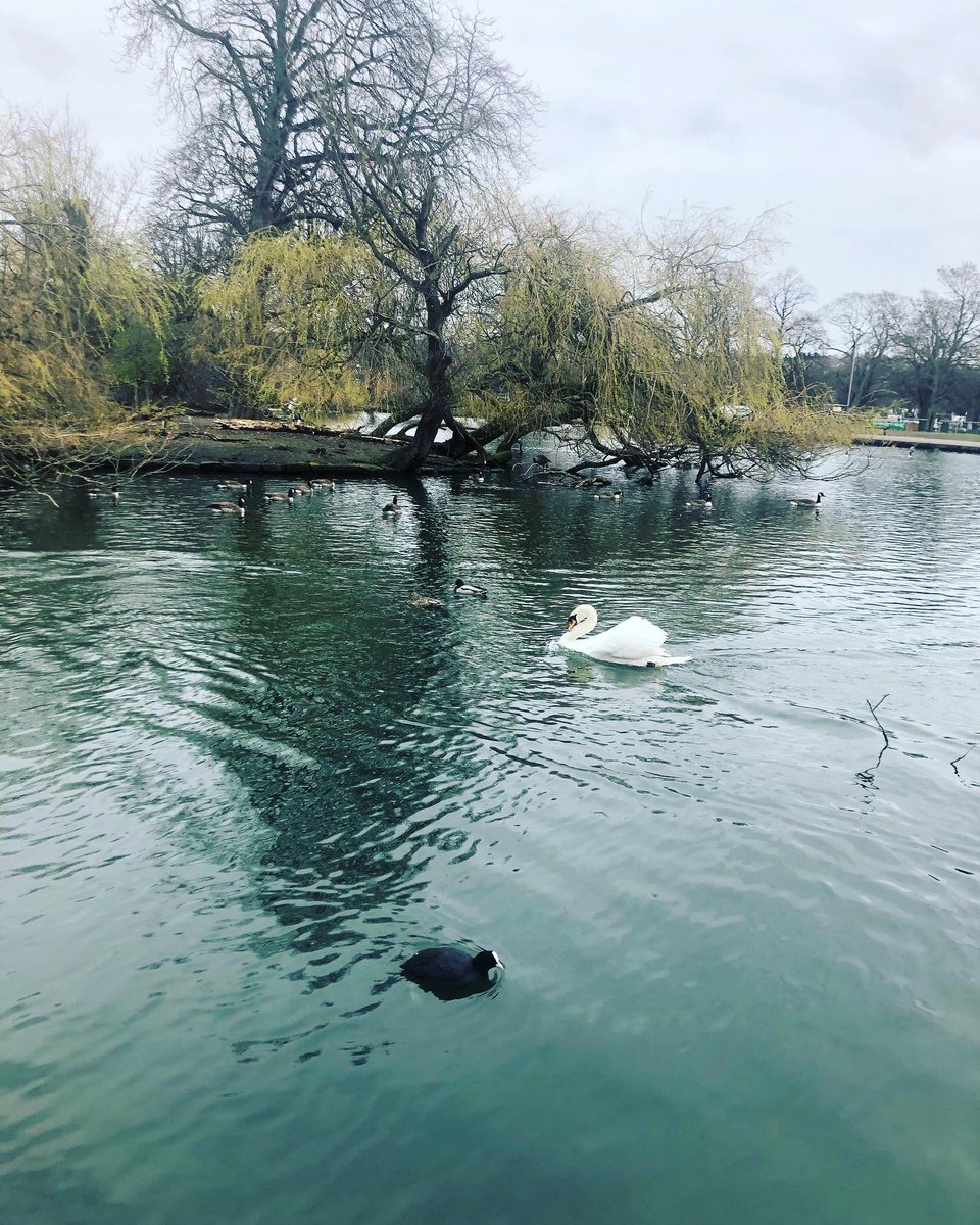 AliceUllathorne's tweet photo. Great to see the #CoachHouse at #HillsboroughPark buzzing after @parkrunUK                 @ageuksheffield @HeritageFundNOR @ArchHFund @Sheffield_HBT https://t.co/YsHdYP3zKa