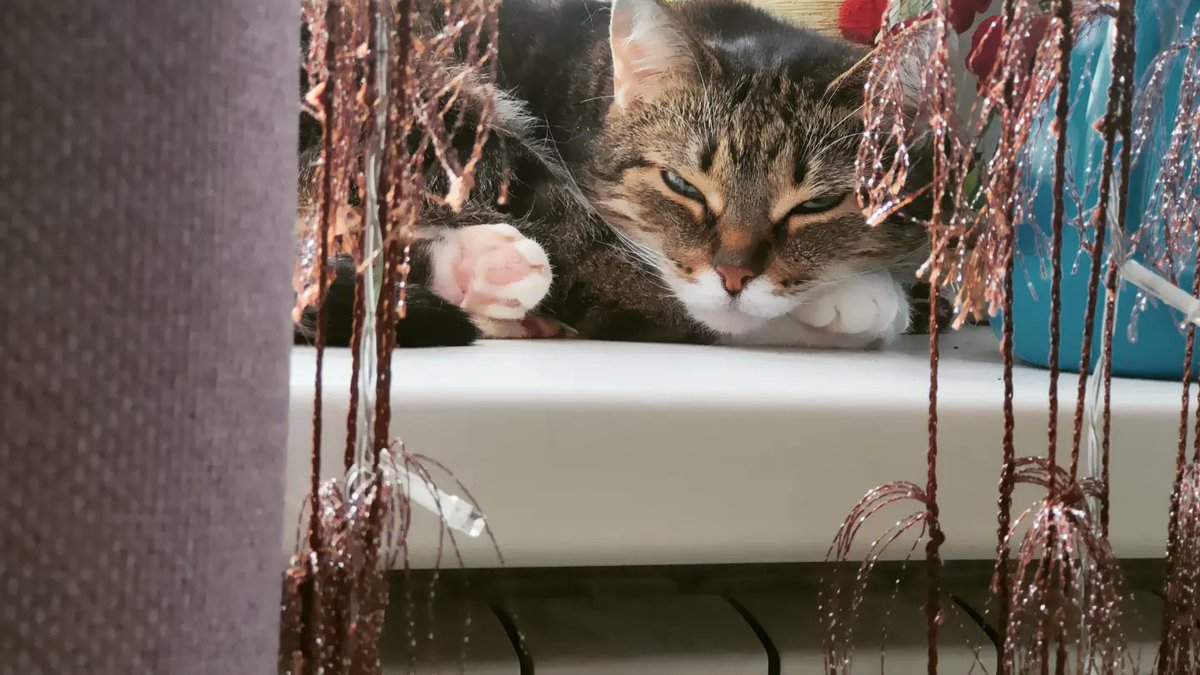 CuteMorpheus's tweet image. 🎇запускаю цепочку твиттерских 🎇
💥Лайк, ретвит, подписка
💥Я взаимна
💥Читай лайкнувших
💥Подписывайся взаимно
Я люблю Muse, Depeche Mode, Агату Кристи, Король и Шут, и многих британских актёров.
#цепочкафолловеров
#цепочкатвиттерских
#взаимныйфолловинг
#взаимнаяподписка