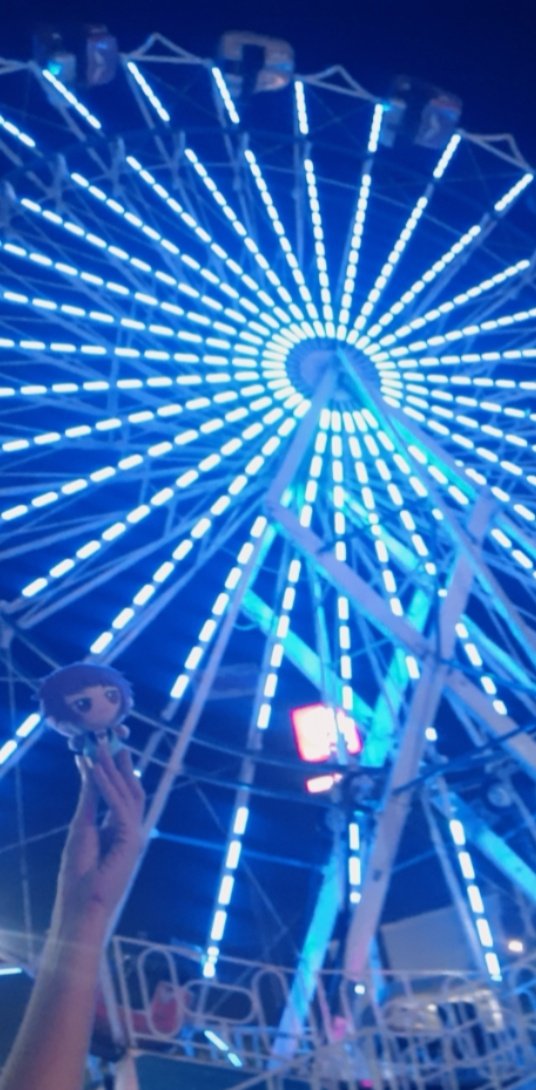 🎡