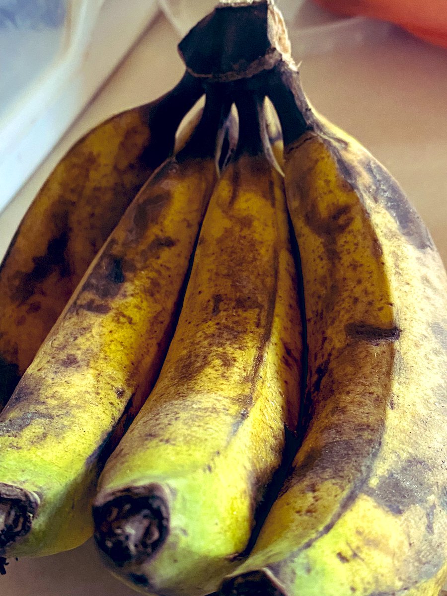 Mbedelectuel 🇸🇳 tweet media