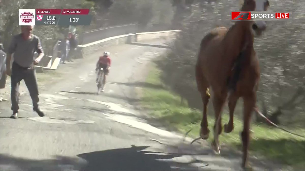 Demi Vollering At gibi Kadın deyimini hakketti bugünkü galibiyetiyle.

#StradeBianche #StradeBiancheDonne #StradeBiancheWE #KadınlarYolBisikleti #CyclingRoad