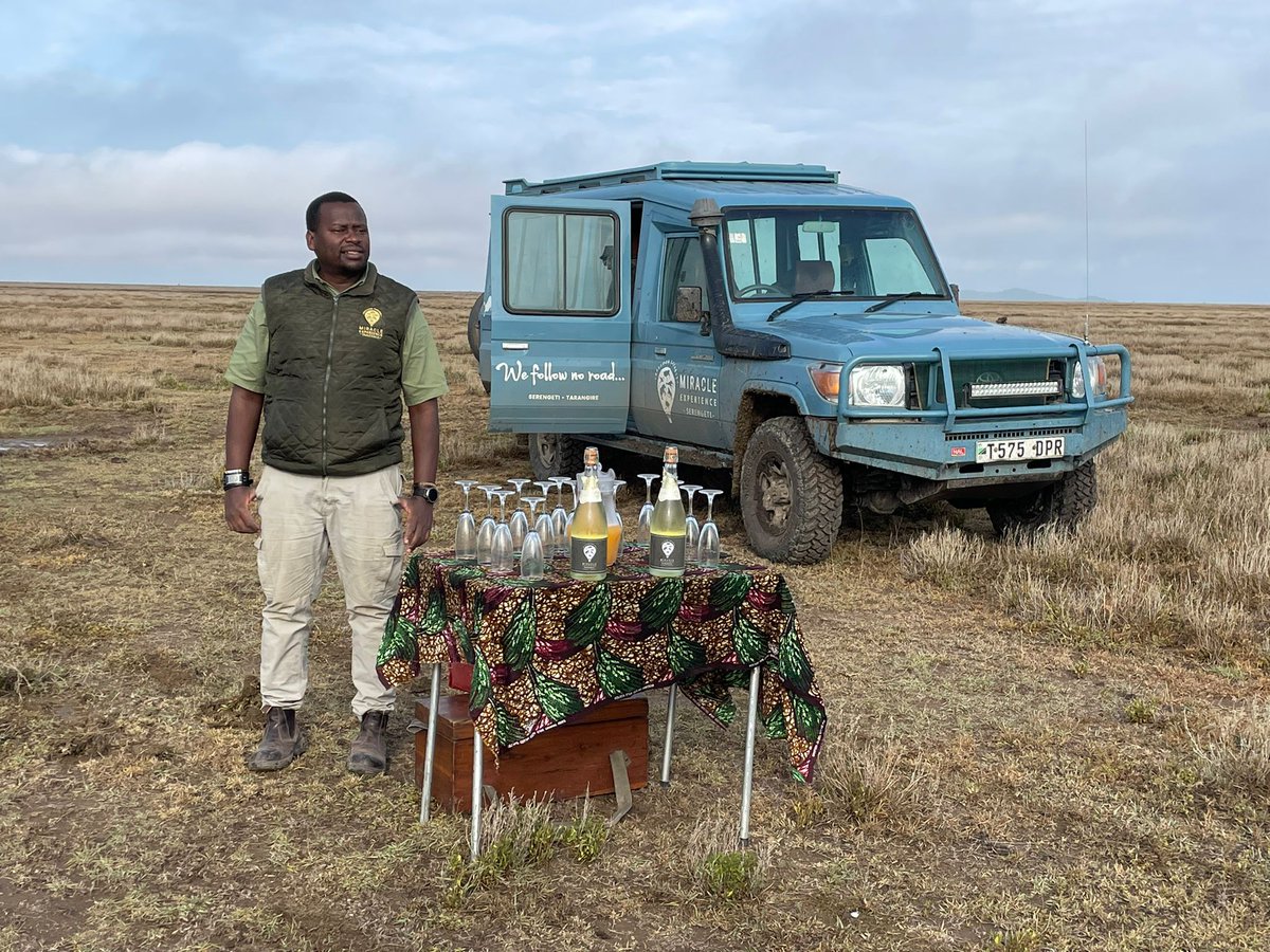 Best Of South Africa tweet media