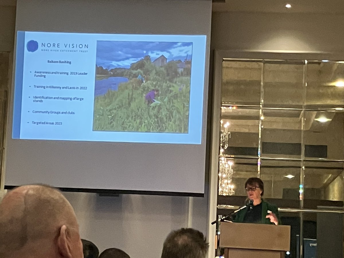 ciara_mcglade's tweet photo. More work on controlling invasives, this team Himalayan balsam with @nore_vision #RTALlIreland23 https://t.co/9DOnqve8aX