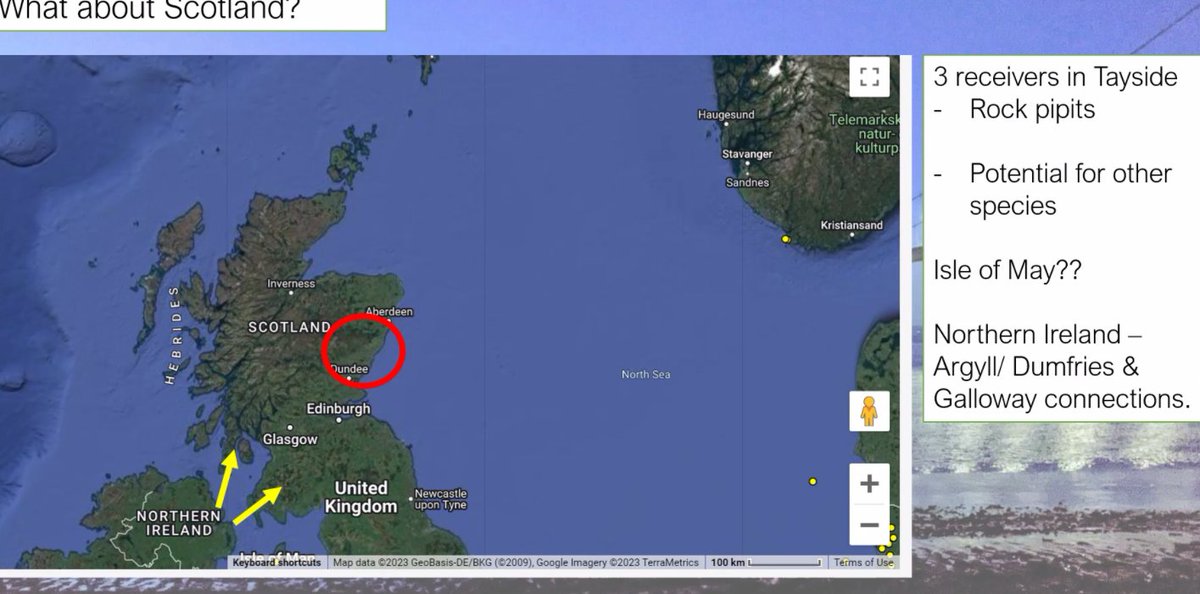 Bat Conservation Trust (@_bct_) on Twitter photo No MOTUS receivers in Scotland yet but <a href="/lucyjayneryan/">Lucy Mitchell</a> is hoping a receiver will go up the the Isle of May. 3 receivers will go up in Tayside. These will offer the opportunity to study #bats + birds. Really interesting questions that could be answered with this tech #ScotBatConf No MOTUS receivers in Scotland yet but <a href="/lucyjayneryan/">Lucy Mitchell</a> is hoping a receiver will go up the the Isle of May. 3 receivers will go up in Tayside. These will offer the opportunity to study #bats + birds. Really interesting questions that could be answered with this tech #ScotBatConf