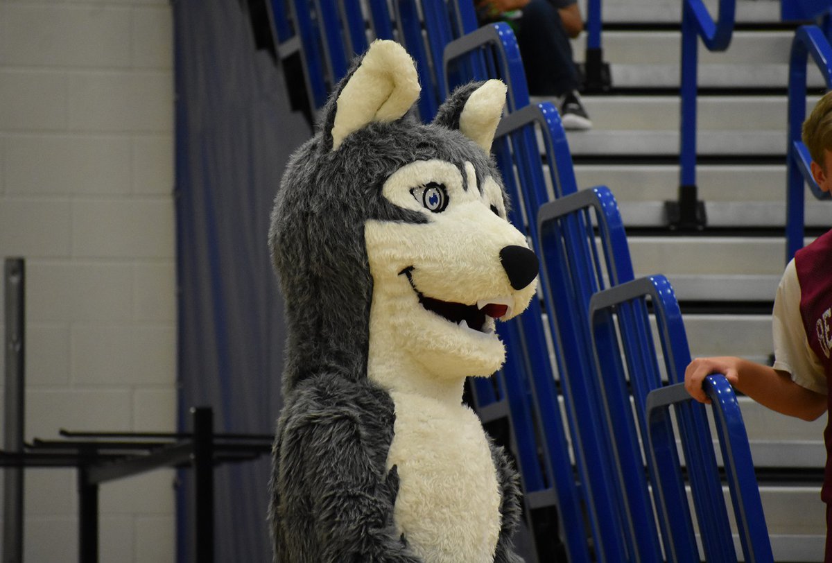 Grace Middleton and Alysa Carrigan combined for 50 points, with Carrigan adding a school-record 13 steals, as <a href="/TuskyHusky_GBB/">Tuscarora Girls Basketball</a> defeated Louisa County 70-41 to advance to the VHSL Class 4 Semis. Story by <a href="/Ttown316/">TJ_Davis</a> here: novahoops.com/middleton-carr…