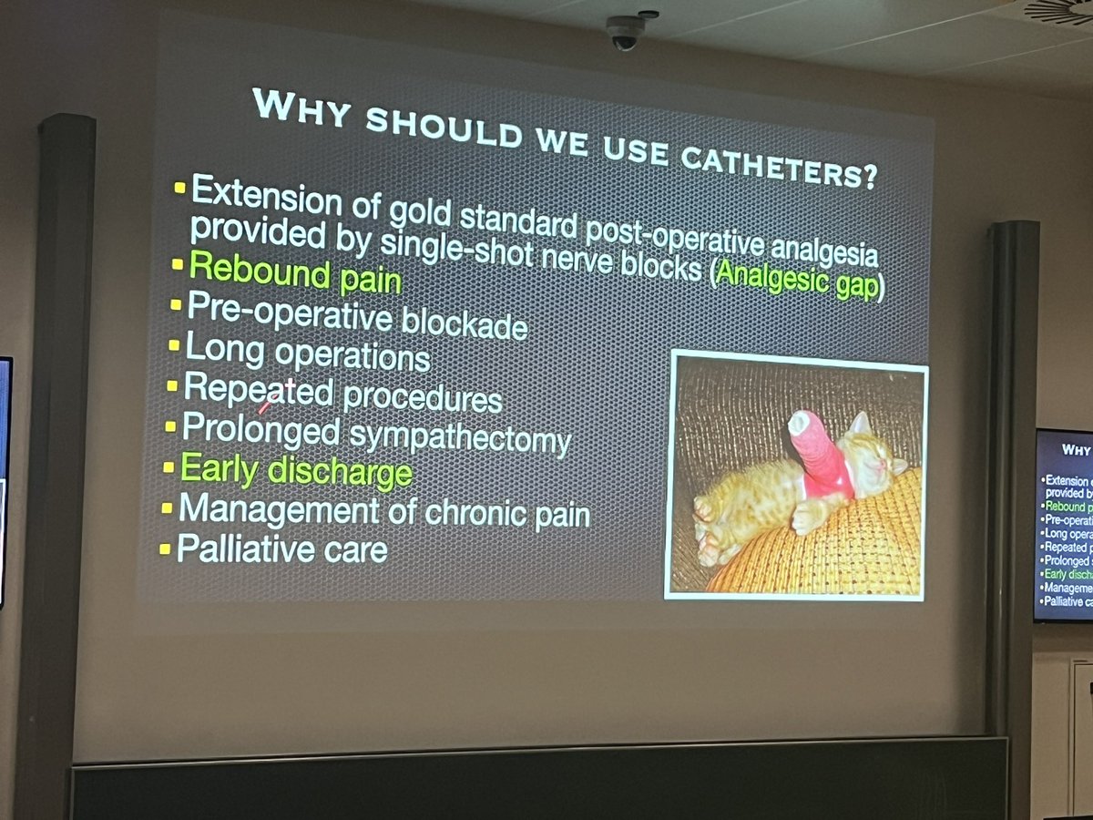 Steve Coppens (@steve_coppens) on Twitter photo Agree <a href="/docmorne/">Morné Wolmarans</a> Nice presentation as always #ESRACW2023 <a href="/ESRA_Society/">ESRA | European Society of Regional Anaesthesia</a> <a href="/ASRA_Society/">ASRA Pain Medicine</a> <a href="/BelgianBara/">Belgian Association of Regional Anesthesia BARA</a> Agree <a href="/docmorne/">Morné Wolmarans</a> Nice presentation as always #ESRACW2023 <a href="/ESRA_Society/">ESRA | European Society of Regional Anaesthesia</a> <a href="/ASRA_Society/">ASRA Pain Medicine</a> <a href="/BelgianBara/">Belgian Association of Regional Anesthesia BARA</a>