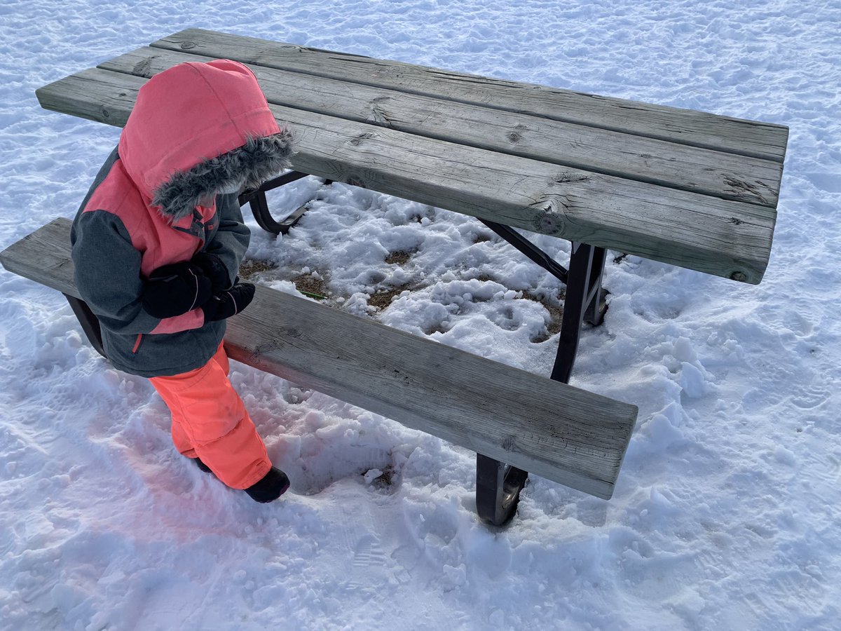 MrsBClarkson's tweet photo. Moving into #measurement in #kindergarten #math! Our #outdoorlearning was inspired by the story, “How Big is a Foot!” We measured how many of our feet long items in our playground were! 🦶📏 https://t.co/CmeiN09NCX