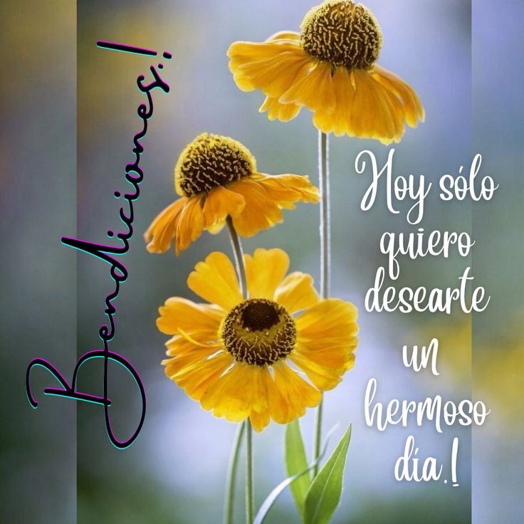 Buenos días #Nicaragua 
En paz y tranquilidad gracias a nuestro buen gobierno que día a día trabaja por su pueblo 
#NoPudieronNiPodran 
#UnPuebloQueVence