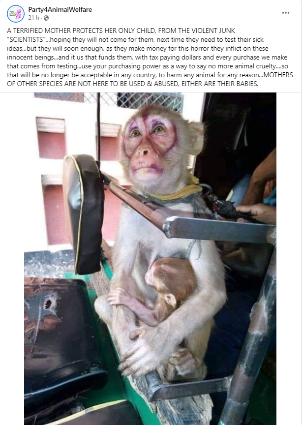 AnimalPartyIE's tweet image. A TERRIFIED MOTHER PROTECTS HER ONLY CHILD, FROM THE VIOLENT JUNK "SCIENTISTS"...hoping they will not come for them, next time they need to test their sick ideas..