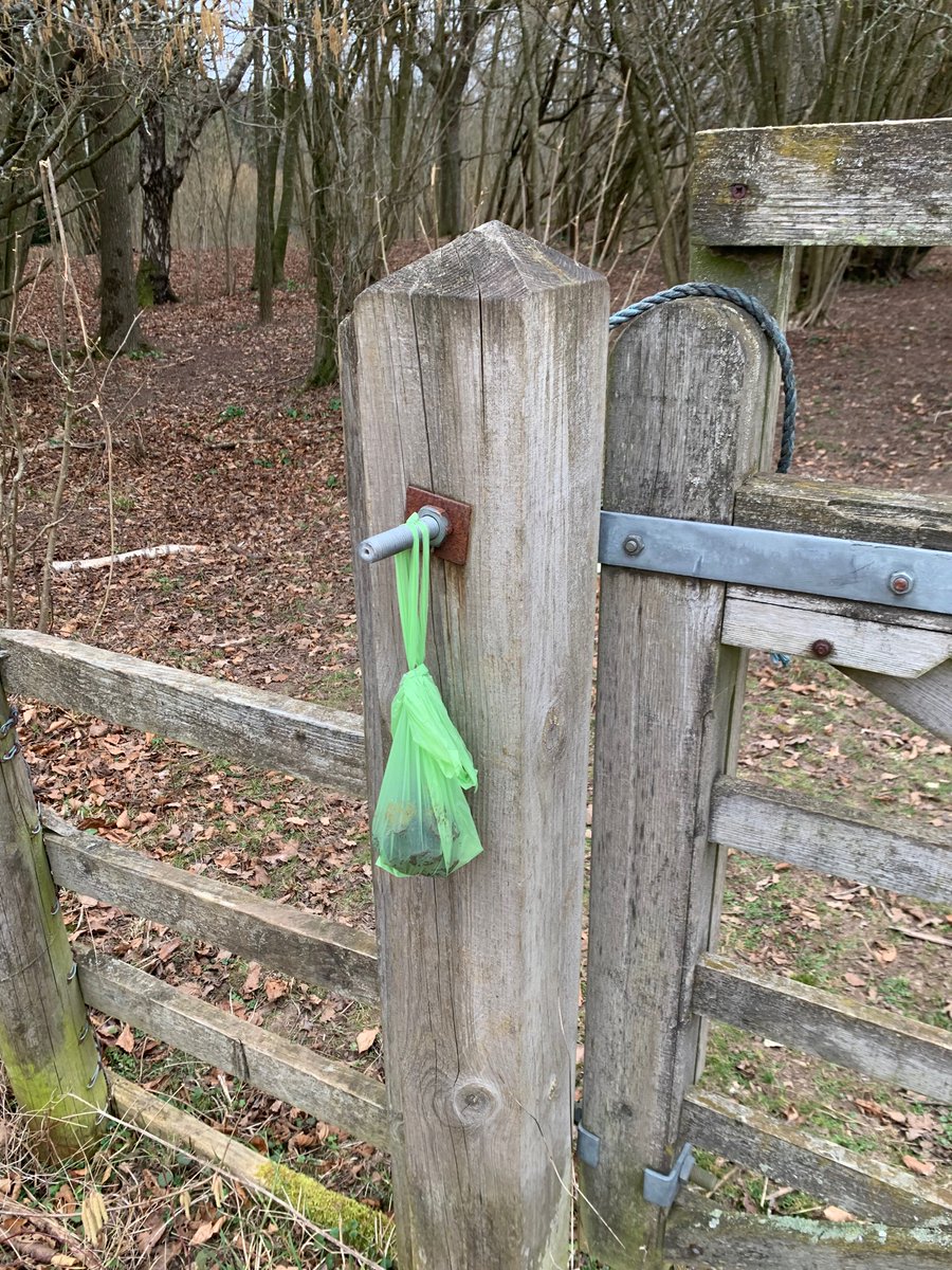LauraDeuxberry's tweet photo. @hantsconnect 1/2 Pitt Down/West Woods today. It was disgusting the amount of dog poo bags left in piles on the ground and flung into the trees. If there are no bins people should take it home. Can more be done about this? https://t.co/RvIT75QfbT