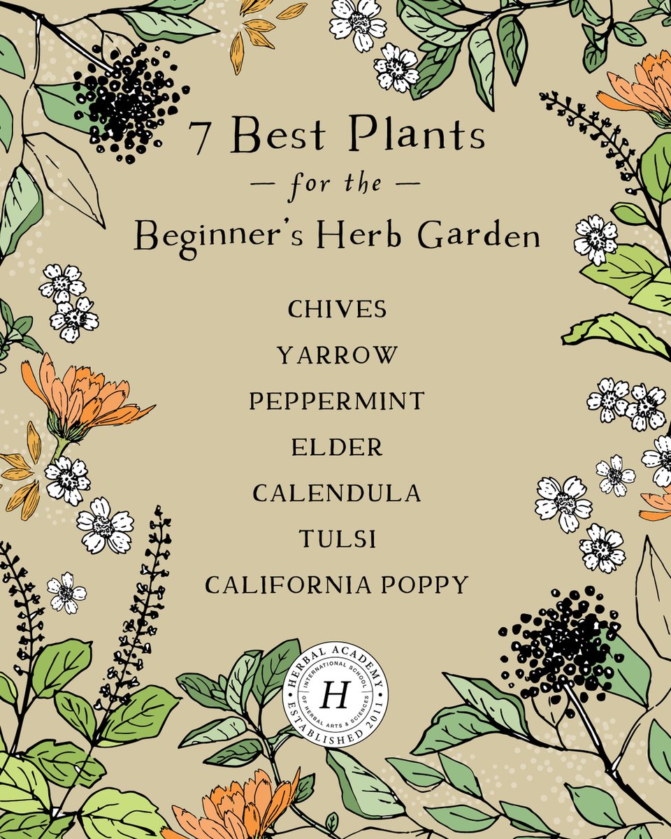 🌿🌼 These 7 easy-to-grow, useful herbs are *nearly* fool proof for a beginner’s herb garden.

If you want some growing tips for these botanicals, search our blog for "7 Best Plants for a Beginner's Herb Garden" to read on!

Who is garden planning this March? 🍃🌸