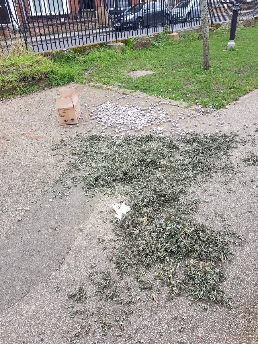 Katrina Hoogendam tweet media