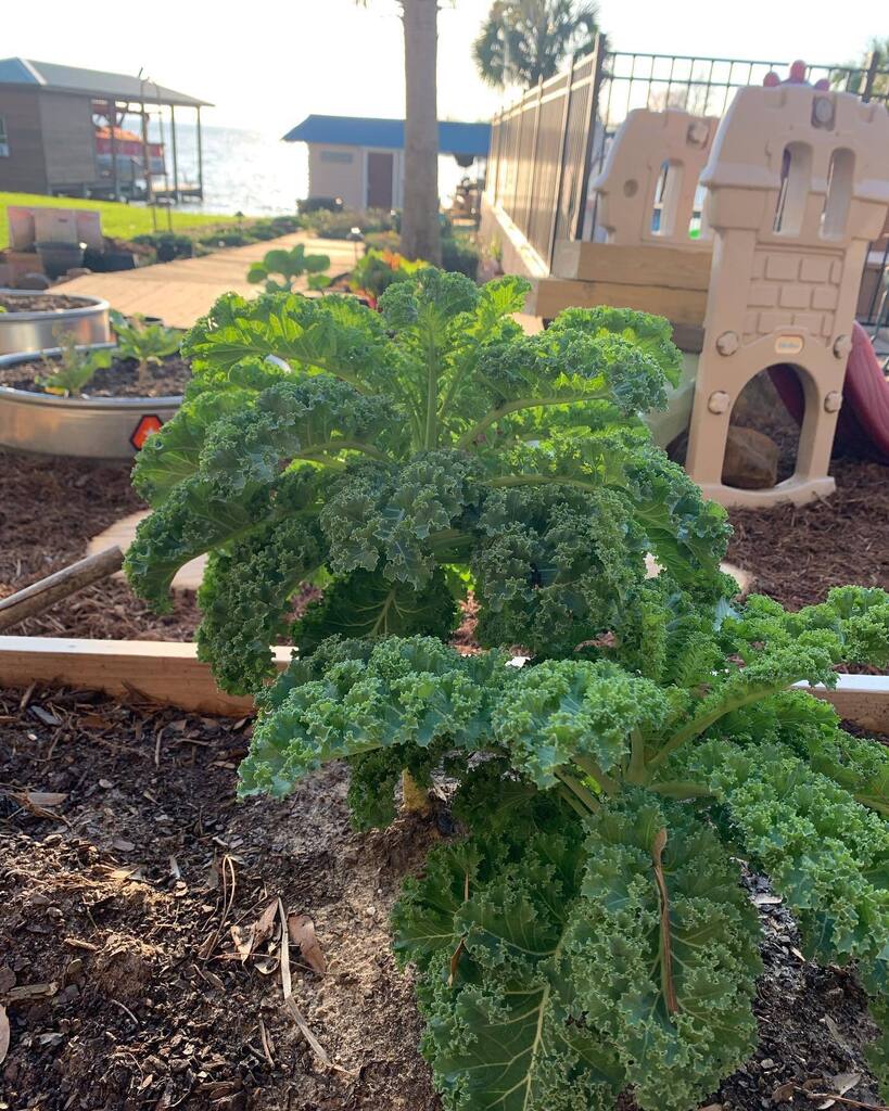 Angela Conrad Church tweet media