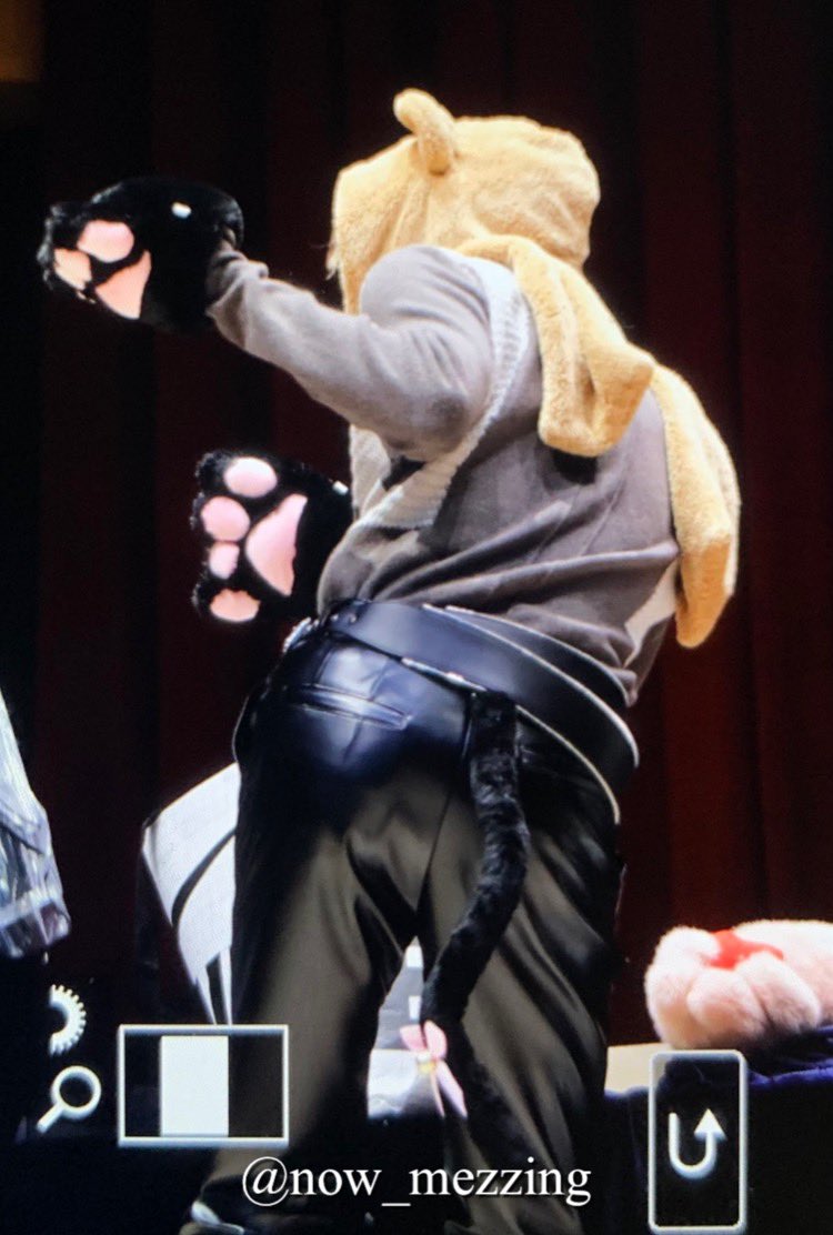 230304 에버라인 2차 대면 
#더보이즈 #HYUNJAE #현재 #이재현

고양이 꼬리가 생겨서 기부니가 좋은 곰도리