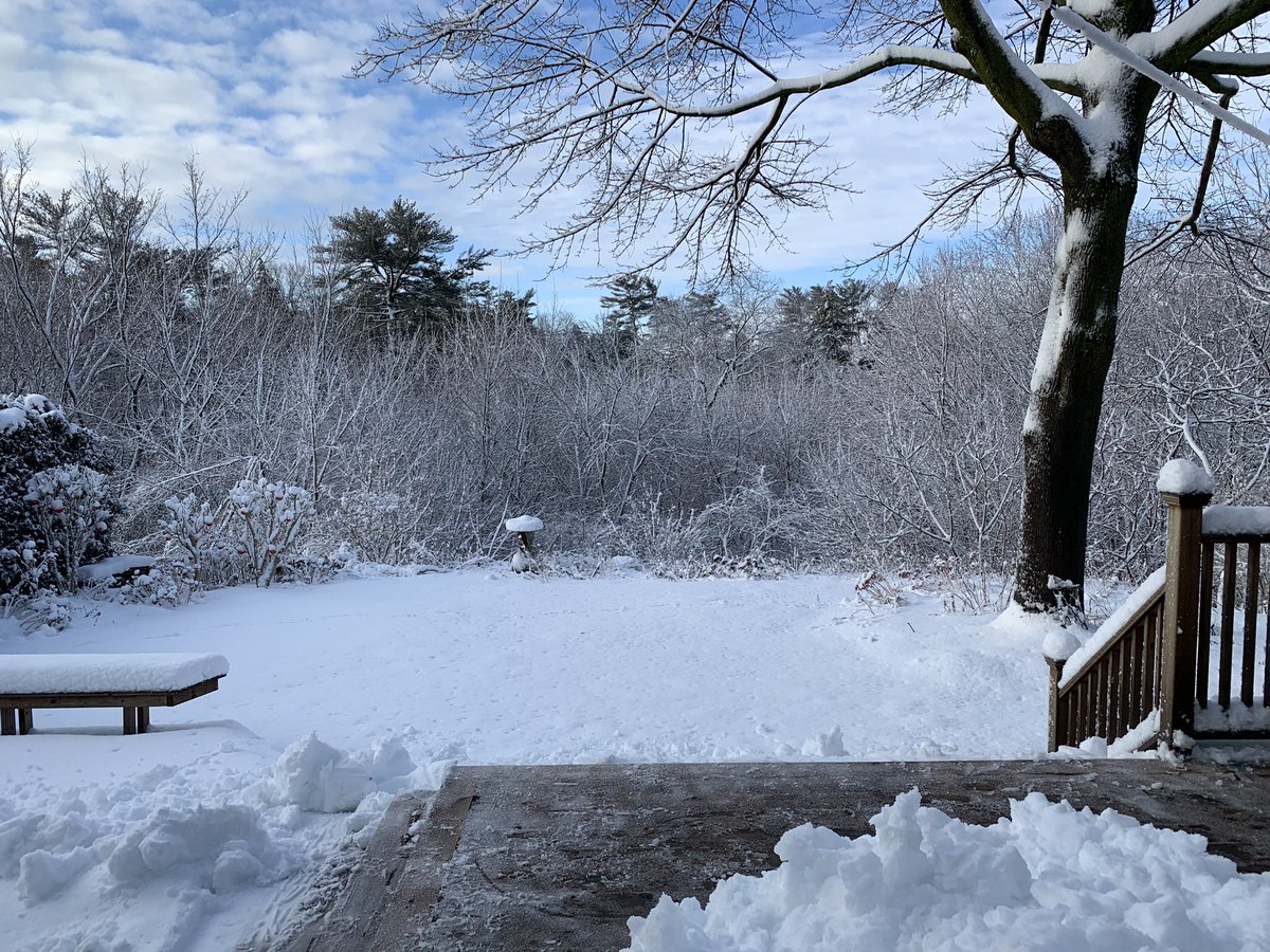 A glorious morning after! Deck path shovelled… bit more to go. Love a good ‘ol #winter #snowstorm. 🇨🇦

~20cm <a href="/cityoftoronto/">City of Toronto 🇨🇦</a> #ONstorm <a href="/weathernetwork/">The Weather Network</a>