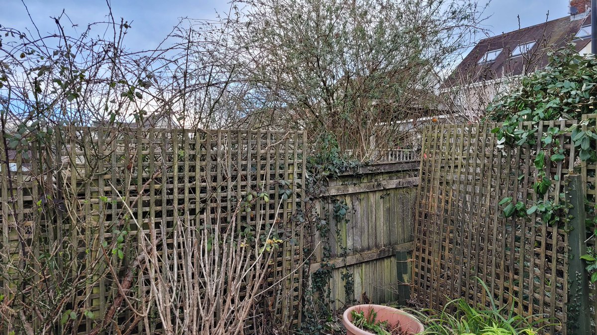 Steve Gane tweet media