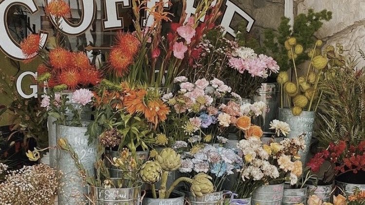malusokay's tweet photo. Welcoming spring with pretty flowers 💐 https://t.co/PrzEycv90U