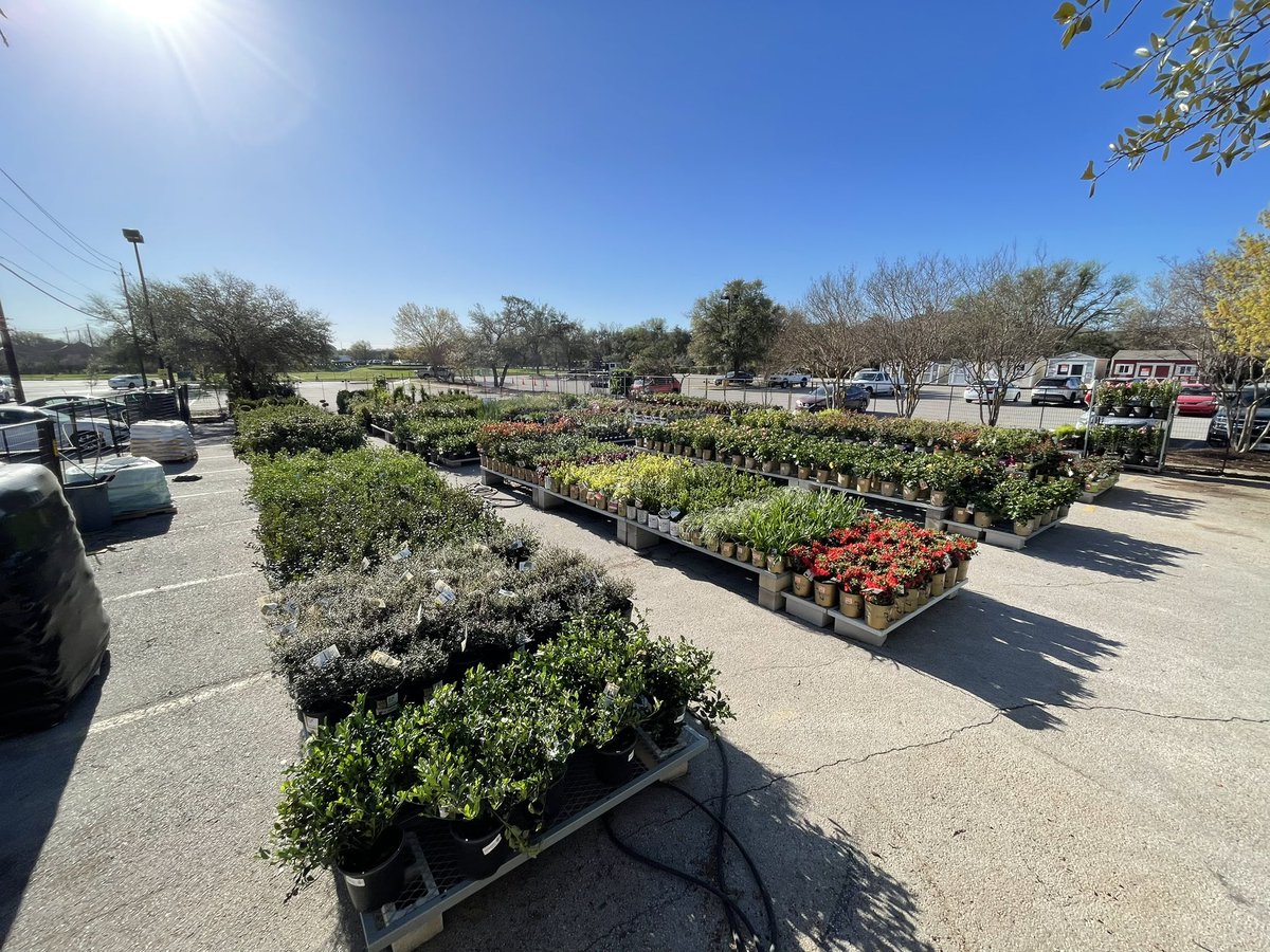 Ready for a big weekend in Austin, Texas! Check out these loaded up Supercenters! 509 Lakeline, 6538 Georgetown, 6892 Mueller &amp; 6570 Sunset Valley 🌸 🌳 🪴
