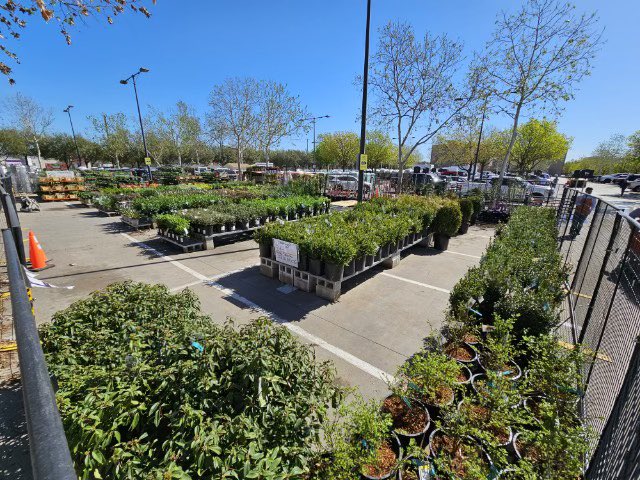 Christian May tweet media