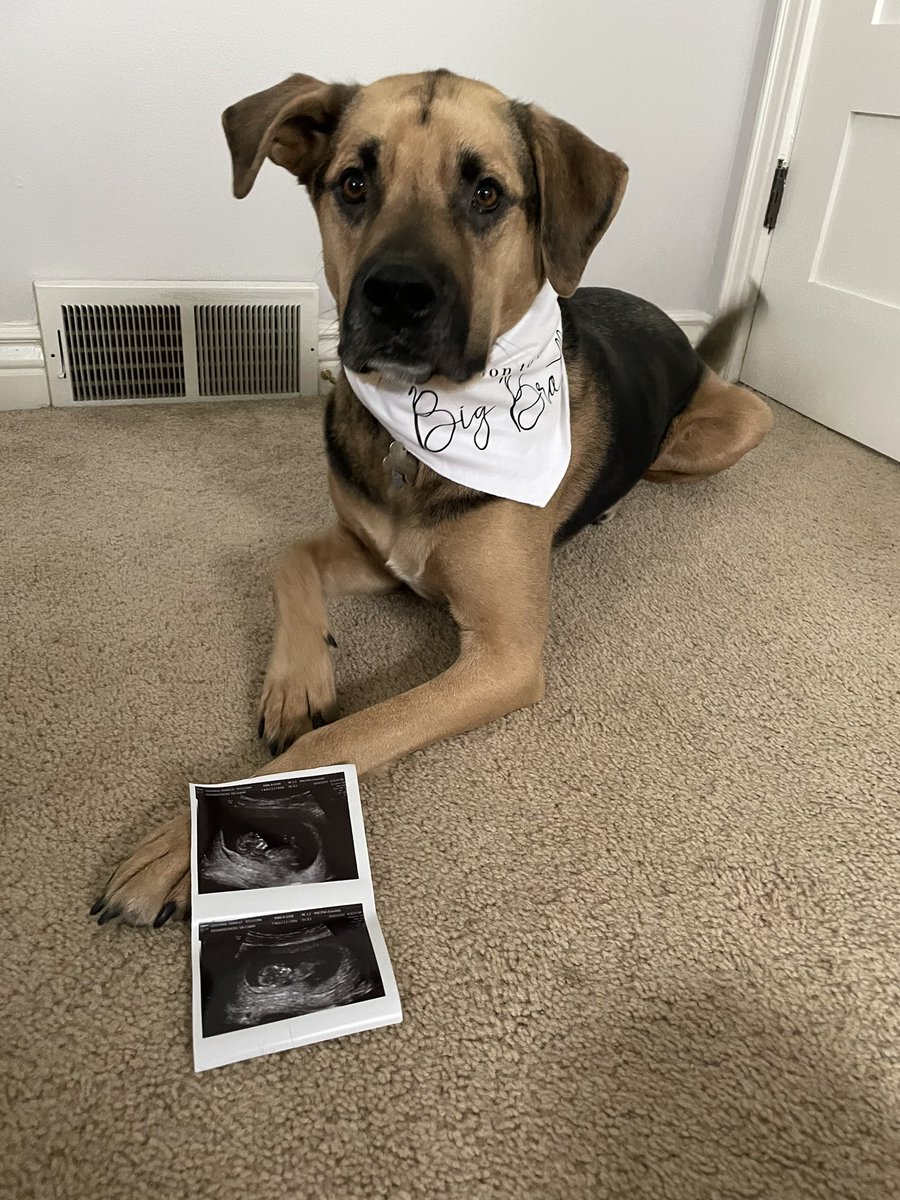 DBReeezy_'s tweet photo. Luke will be promoted to big brother this September. Until then we will be taking lots of naps 😌 https://t.co/xznlNQ9KQ1