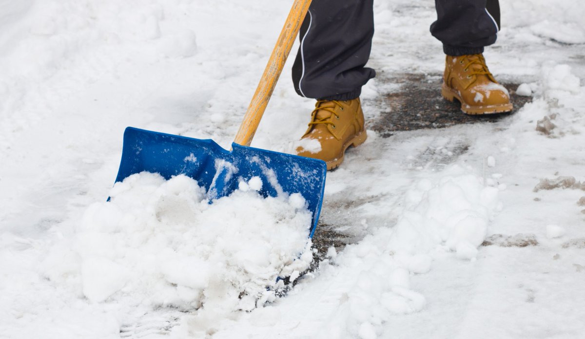 Town of Caledon (@townofcaledon) on Twitter photo Looking for an opportunity to be a good neighbour? π«Ά All you need is a shovel!
Become a volunteer shoveler with <a href="/SnowAngelsCa/">Snow Angels Canada</a> to help those in your neighbourhood who need help with shoveling! π€
To sign up as a volunteer shoveler, visit: snowangelscanada.ca Looking for an opportunity to be a good neighbour? π«Ά All you need is a shovel!
Become a volunteer shoveler with <a href="/SnowAngelsCa/">Snow Angels Canada</a> to help those in your neighbourhood who need help with shoveling! π€
To sign up as a volunteer shoveler, visit: snowangelscanada.ca