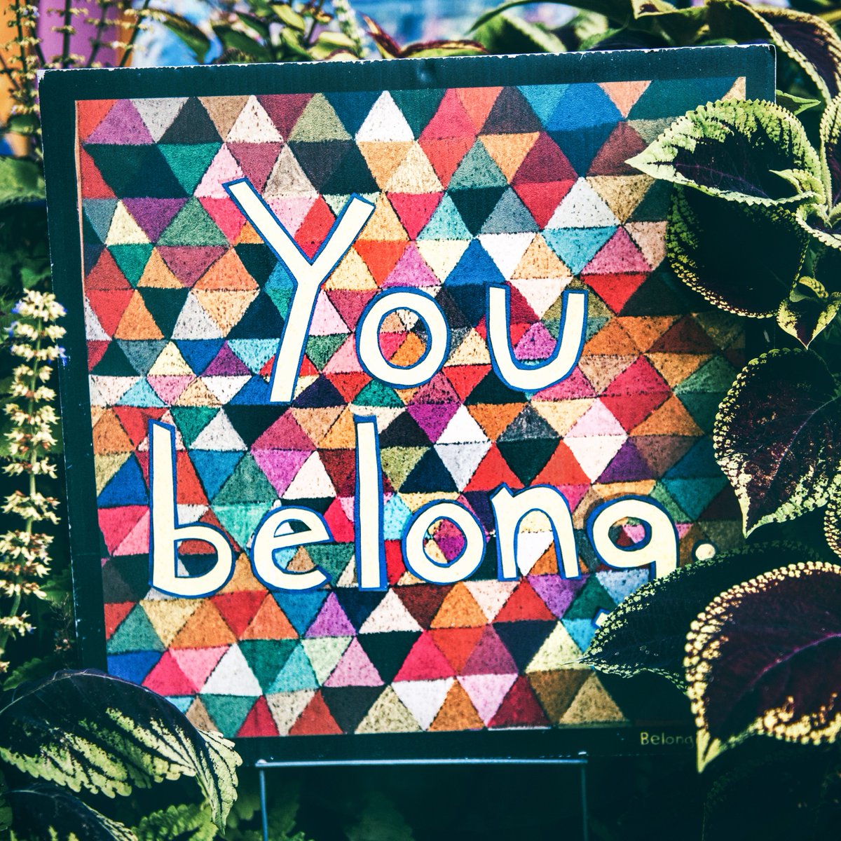azeratalent's tweet photo. #Workspace tip - Create a welcoming and inclusive workplace culture that values and celebrates diversity. This can help you attract and retain a diverse workforce that feels valued and supported. 

#InclusiveWorkplace #DiversityMatters #Belonging #CompanyCulture https://t.co/ywQTcwVZw9
