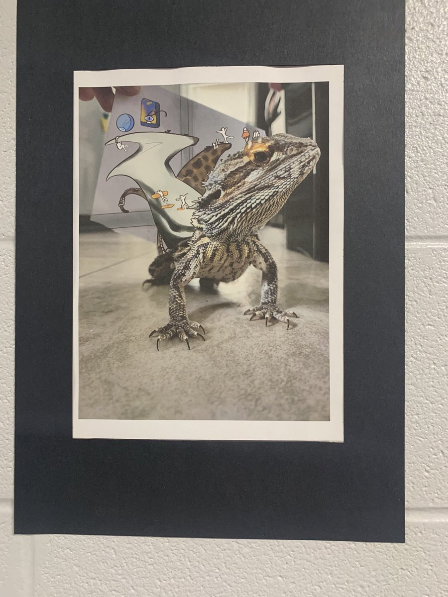ReaganTeaches's tweet photo. Such a cool installation in the AHS art wing! @mribarraenglish, my student teacher and I were in awe at the amount of work and talent that went into this! @SFAHS_Bulldogs https://t.co/uf3HnFJtmw
