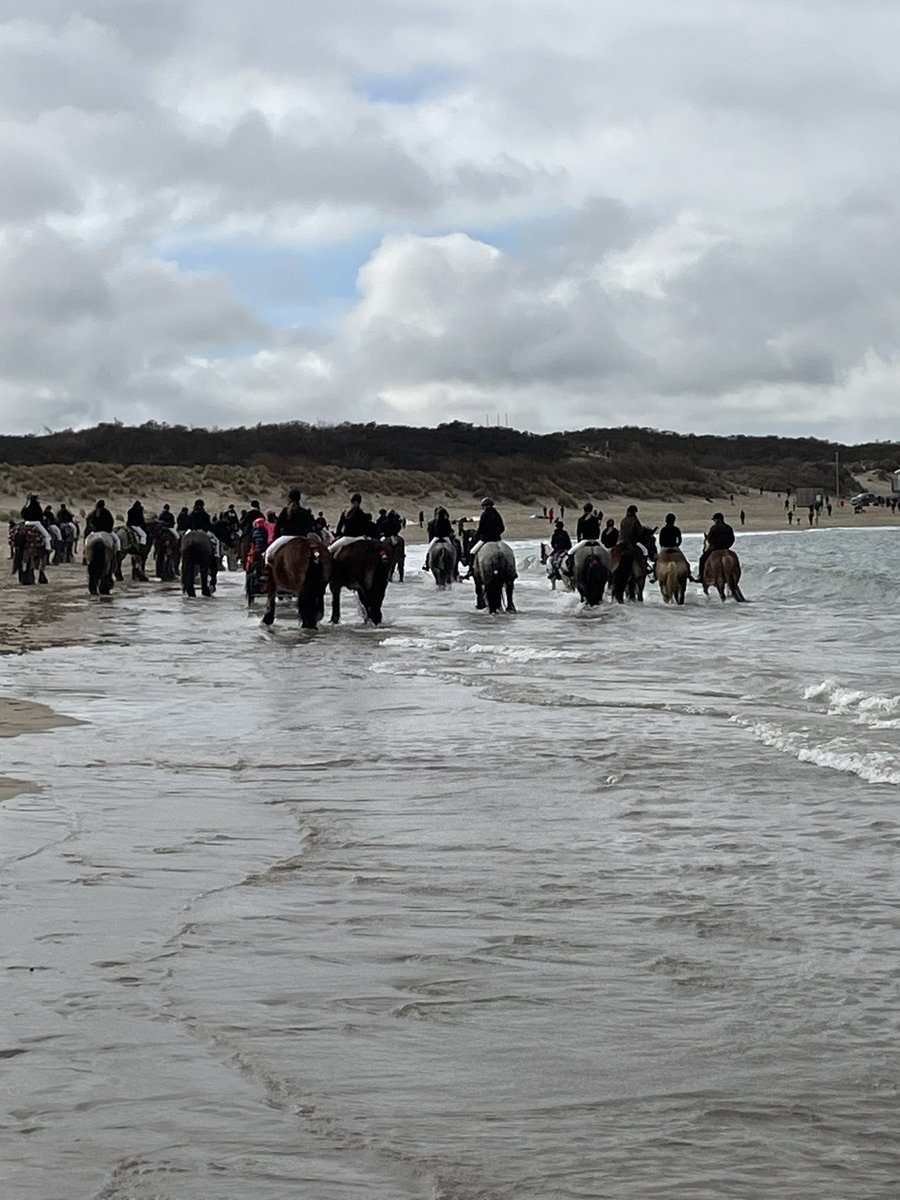AnneHoevers's tweet photo. #strao #Ellemeet wat een prachtig versierde paarden in de zee! #lente https://t.co/3h6XZfR0e4
