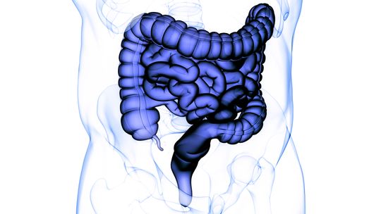 The American College of Gastroenterology has updated its practice #guidelines on managing acute lower gastrointestinal bleeding. Dr. Rahul Ganatra summarizes key recommendations. jwat.ch/3SK3u9G @rbganatra #GastroTwitter