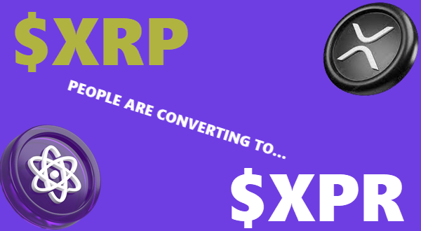 Bruce Stewart tweet media