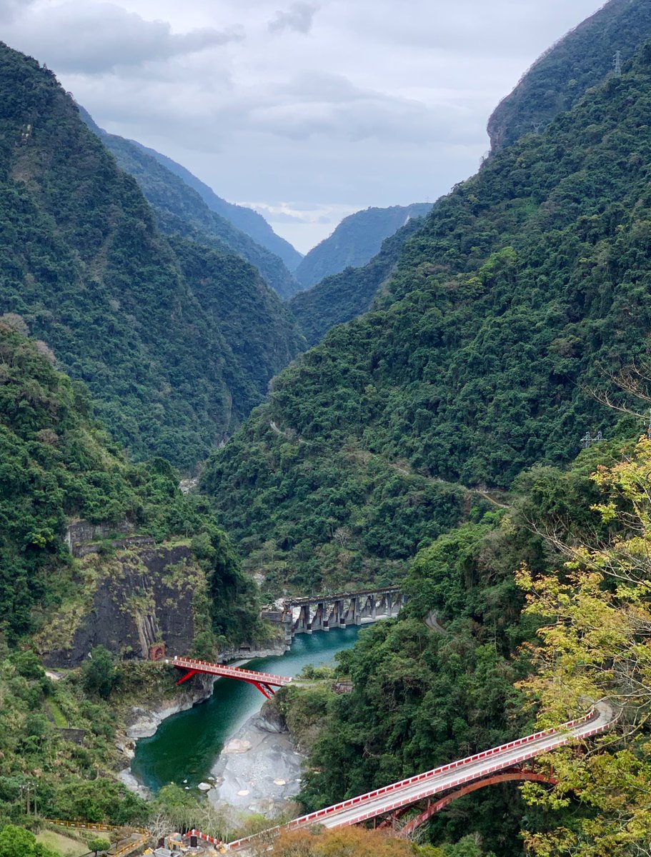TaiwanBirding's tweet photo. That boar 🐗 can look down on this every day.
The lower, ‘developed’, part of this valley in eastern Taiwan. #realForest https://t.co/Bk3tW2VvRt