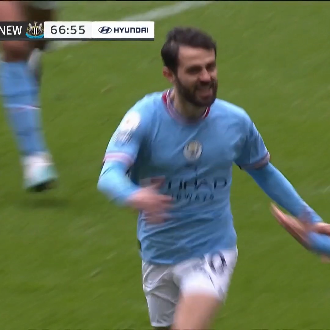 BERNARDO SILVA!

Off the bench to double Manchester City’s lead!

📺 @USANetwork 
#MyPLMorning | #MCINEW”