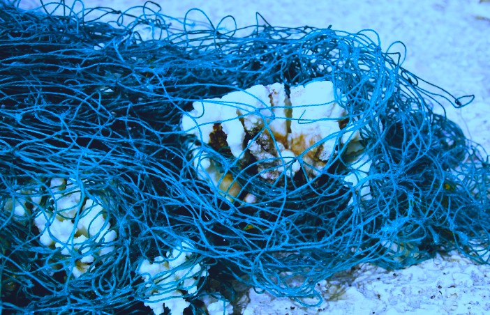 Fishing nets and gear can harm fragile ecosystems, like coral and coral reefs—they become snagged on reefs, breaking corals, exposing them to disease, and even blocking the necessary sunlight. #WetTribe #TidetotheOcean #Ghostnets #Coral #CoralReefs