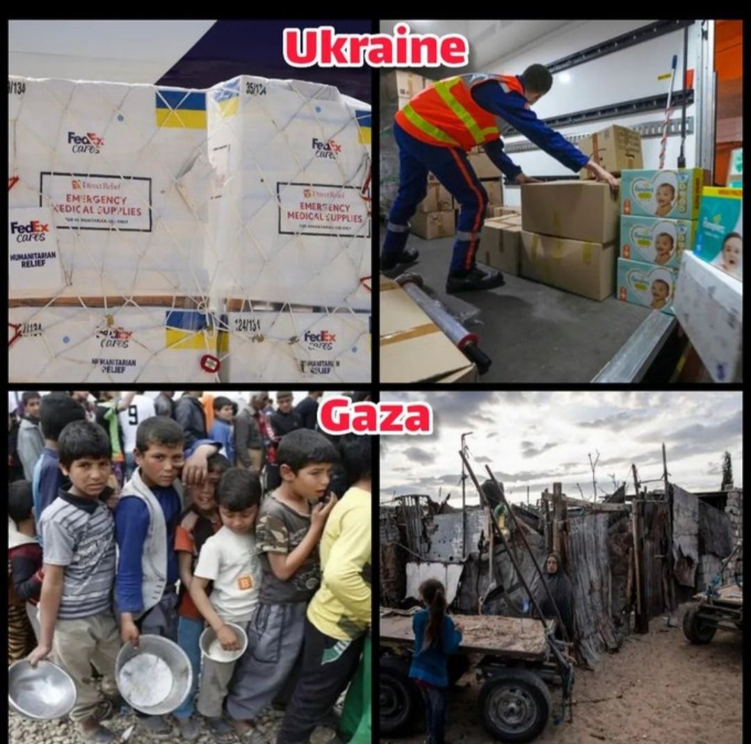 White skin versus brown skin 😔

How long will this world-wide injustice to the poor Palestinian people continue? .. 😣😓🇵🇸
Free Palestine
Help Palestine
 gogetfunding.com/emergency-reli…