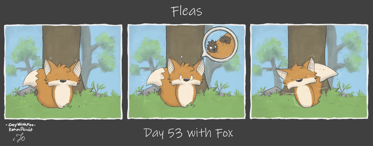 A Day With 🦊 tweet media