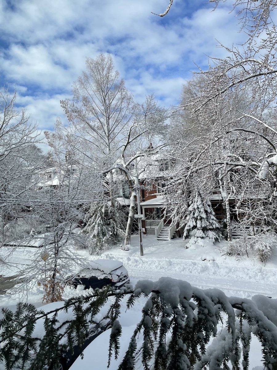 Dr. Jen Gommerman tweet media