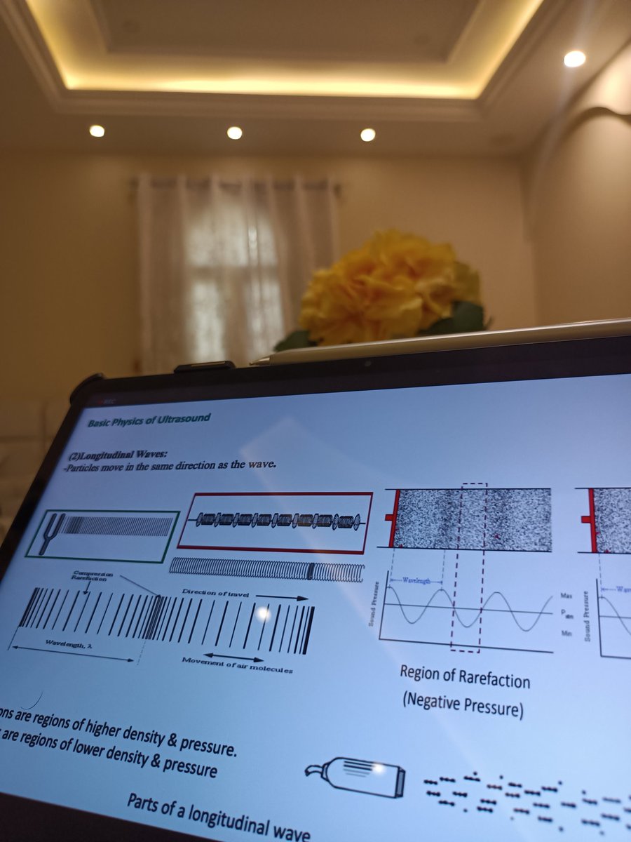 يحدث الان 🌟

دورة ( basic ultrasound ) 🤩

مع الدكتور وائل عقيلي 🎙️