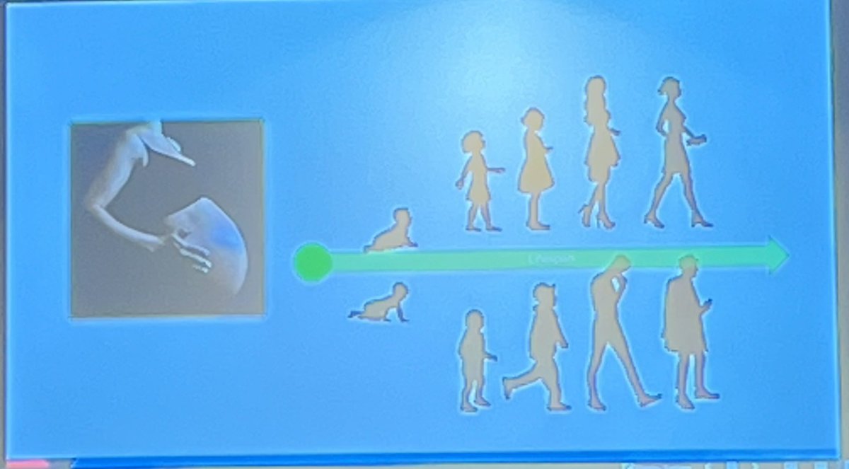 American PsychoPathological Association tweet media