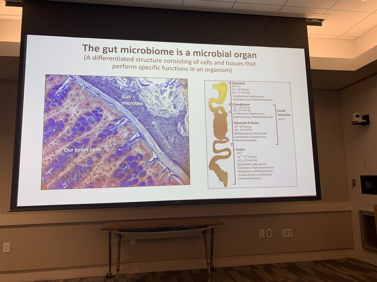 SeragHashem's tweet photo. Dr Eugene Chang giving the keynote talk in gut micro biome at Texas Medical Center Digestive Disease Center @AmerGastroAssn @bcmhouston https://t.co/4nNGXAW0bp
