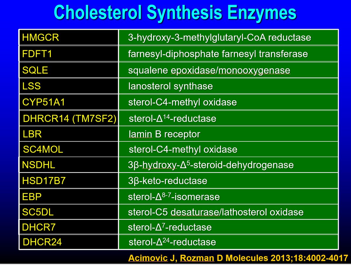 Thomas Dayspring (@drlipid) on Twitter photo Sterologists: The part 4 steps of the cholesterol synthesis pathway with evolution of various aromatic molecules from lanosterol to cholesterol via 2 pathways. The penultimate precursor molecules desmosterol & cholesterol serve as markers of synthesis <a href="/nationallipid/">National Lipid Association</a> <a href="/society_eas/">European Atherosclerosis Society</a> Sterologists: The part 4 steps of the cholesterol synthesis pathway with evolution of various aromatic molecules from lanosterol to cholesterol via 2 pathways. The penultimate precursor molecules desmosterol & cholesterol serve as markers of synthesis <a href="/nationallipid/">National Lipid Association</a> <a href="/society_eas/">European Atherosclerosis Society</a>