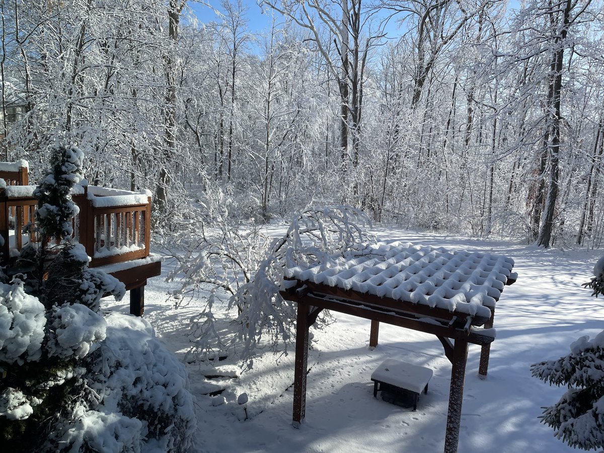 Backyard this morning!  #occasionalphoto #michigan