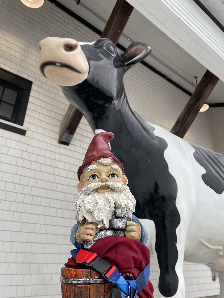 WE GOT COWS: Been so busy cross-crossing #PEI watching @team_equipenb at <a href="/CanadaGames/">Canada Games | Jeux du Canada</a> <a href="/2023CanadaGames/">2023 Jeux du Canada Games</a> , finally made it to @cowsicecream #SportNB #CanadaGames #TeamEquipeNB #lifeofagnome