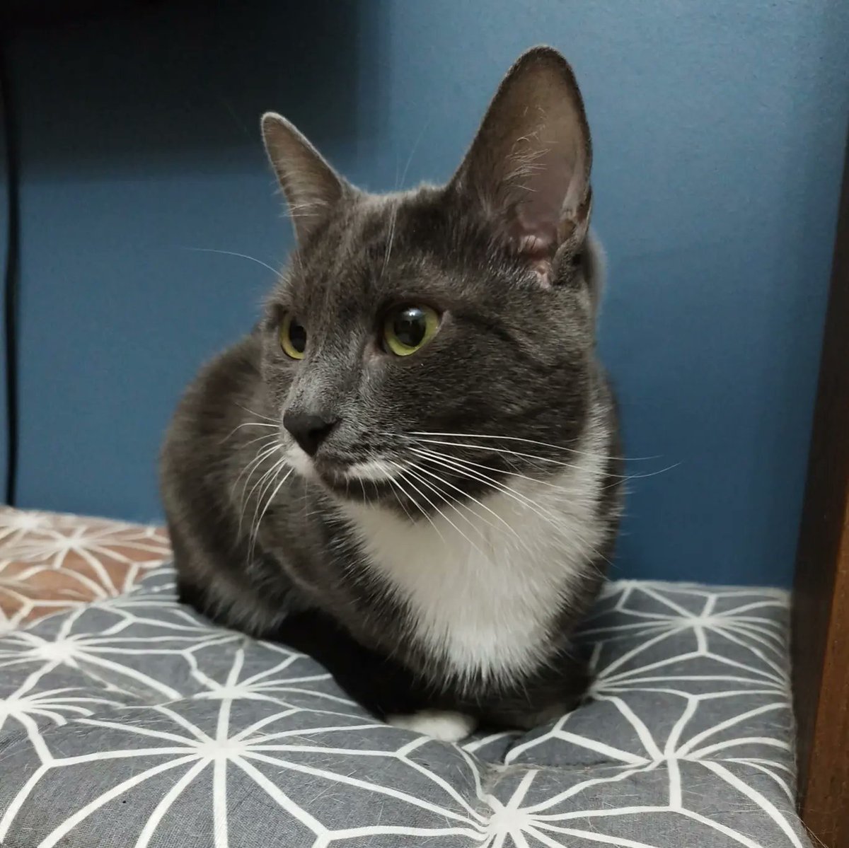 Vakum makinesini bu ekomomide kırdım die bni bederinere götürüp mısırlaştırmakla tehdit ediyolar imdak