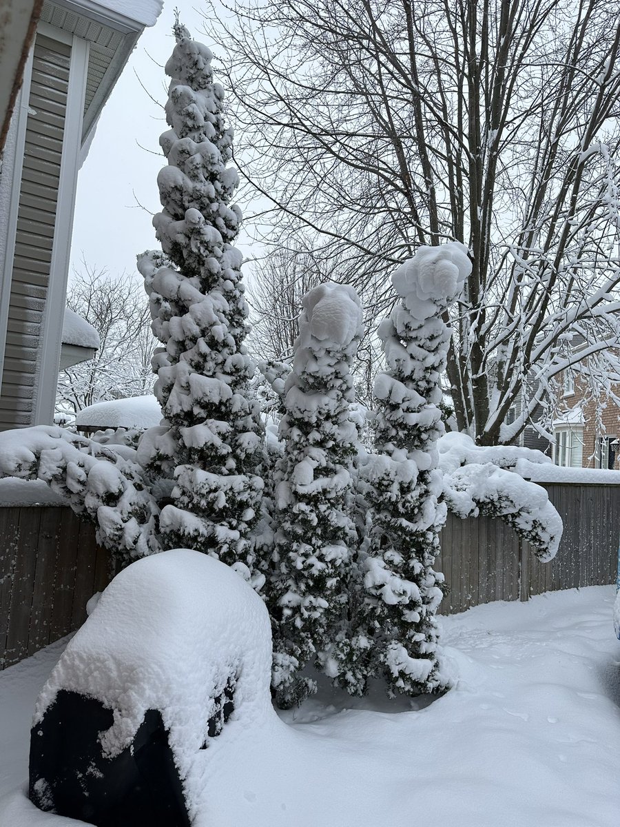 Snow dinosaurs 🦖 🦕 #onstorm